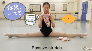 passive stretch